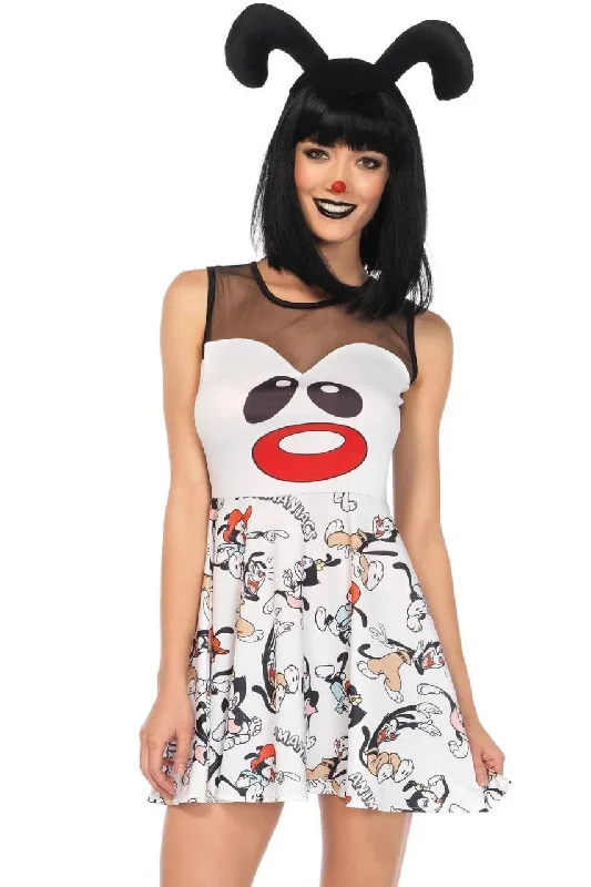 Superhero Themed Cosplay Lingerie for WomenWakko Dress Costume