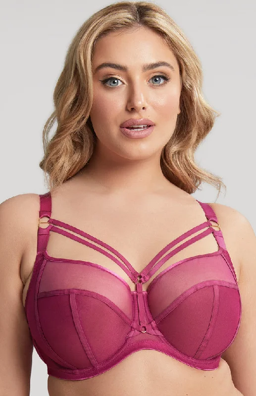 9695 PANACHE DIONNE ORCHID